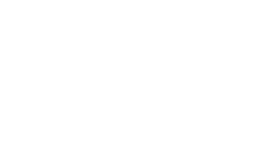 Audedo Gastro – audedogastro.com